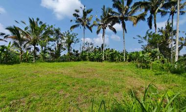 jual tanah kerta payangan dekat Ubud
