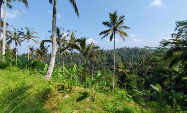 jual tanah kerta payangan dekat Ubud