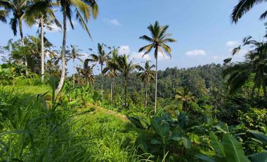 jual tanah kerta payangan dekat Ubud