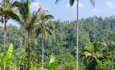 jual tanah kerta payangan dekat Ubud