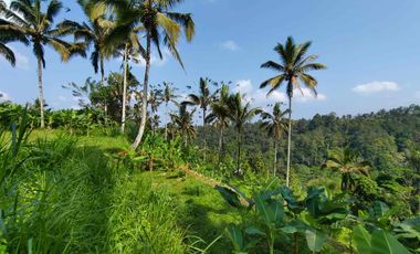 jual tanah kerta payangan dekat Ubud