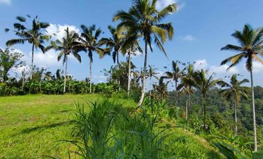 jual tanah kerta payangan dekat Ubud