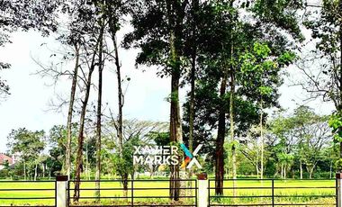 Disewakan / Dijual Rumah Modern Mewah Full Furnish Di Greenwood Golf Araya Malang