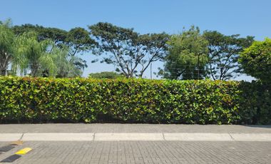 Venta de Terreno en Porto Alegre – Vía a la Costa