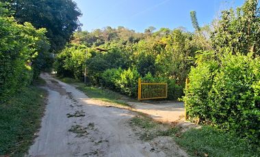 Lote Campestre de 2.000 m2 en Venta en Tigrera, Vía Minca, Santa Marta