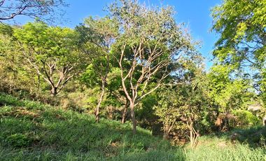 Lote Campestre de 2.000 m2 en Venta en Tigrera, Vía Minca, Santa Marta