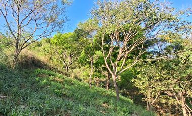 Lote Campestre de 2.000 m2 en Venta en Tigrera, Vía Minca, Santa Marta