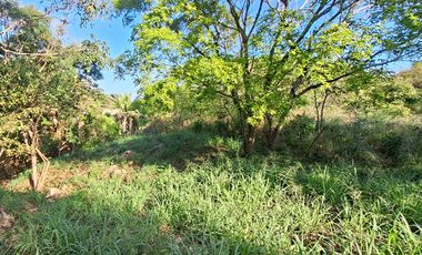Lote Campestre de 2.000 m2 en Venta en Tigrera, Vía Minca, Santa Marta
