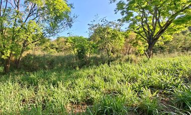 Lote Campestre de 2.000 m2 en Venta en Tigrera, Vía Minca, Santa Marta