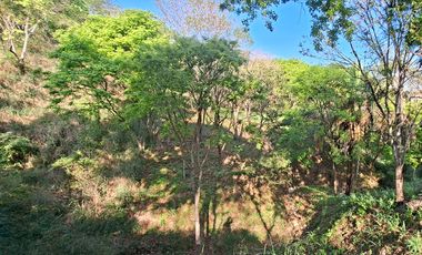 Lote Campestre de 2.000 m2 en Venta en Tigrera, Vía Minca, Santa Marta