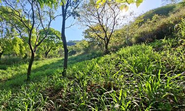 Lote Campestre de 2.000 m2 en Venta en Tigrera, Vía Minca, Santa Marta