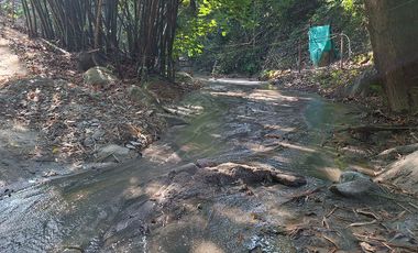 Lote Campestre de 2.000 m2 en Venta en Tigrera, Vía Minca, Santa Marta