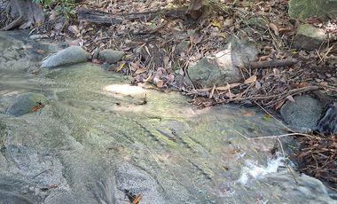 Lote Campestre de 2.000 m2 en Venta en Tigrera, Vía Minca, Santa Marta