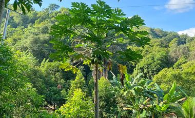 Lote Campestre de 2.000 m2 en Venta en Tigrera, Vía Minca, Santa Marta