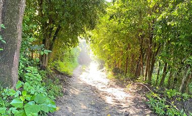 Lote Campestre de 2.000 m2 en Venta en Tigrera, Vía Minca, Santa Marta