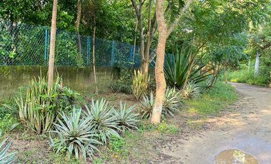 Lote Campestre de 2.000 m2 en Venta en Tigrera, Vía Minca, Santa Marta