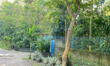 Lote Campestre de 2.000 m2 en Venta en Tigrera, Vía Minca, Santa Marta