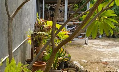 Rumah Sayap Cipto dekat CSB