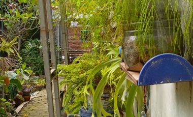 Rumah Sayap Cipto dekat CSB