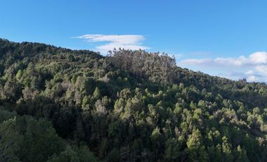 Hermosas Parcela Tres Espinos con Vista Rio desde $ 35.000.000.