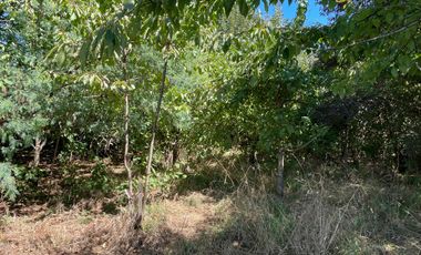 LINDO TERRENO 5000 MT SECTOR ROFUCO BAJO ,RIO BUENO