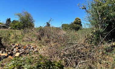 LINDO TERRENO 5000 MT SECTOR ROFUCO BAJO ,RIO BUENO