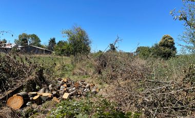LINDO TERRENO 5000 MT SECTOR ROFUCO BAJO ,RIO BUENO