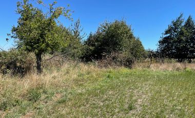 LINDO TERRENO 5000 MT SECTOR ROFUCO BAJO ,RIO BUENO