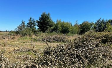 LINDO TERRENO 5000 MT SECTOR ROFUCO BAJO ,RIO BUENO