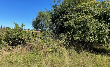 LINDO TERRENO 5000 MT SECTOR ROFUCO BAJO ,RIO BUENO