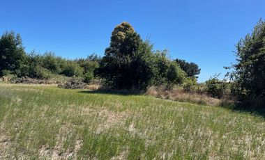 LINDO TERRENO 5000 MT SECTOR ROFUCO BAJO ,RIO BUENO