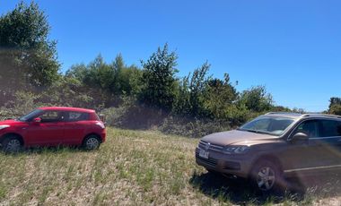 LINDO TERRENO 5000 MT SECTOR ROFUCO BAJO ,RIO BUENO