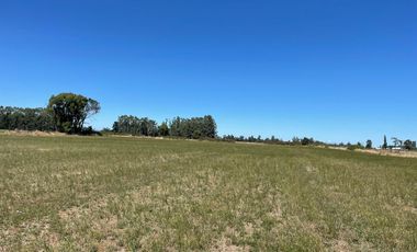 LINDO TERRENO 5000 MT SECTOR ROFUCO BAJO ,RIO BUENO