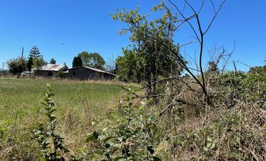 LINDO TERRENO 5000 MT SECTOR ROFUCO BAJO ,RIO BUENO