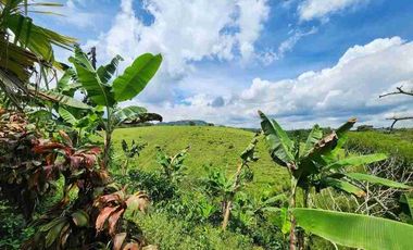 🏠Rento casa cafetra sector Condina