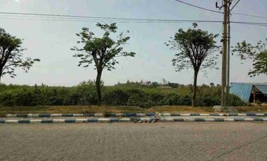 Lahan 73.000 m² Disewakan di Manyar Gresik (Bumi Maspion) - Cocok Gudang & Pool Truk