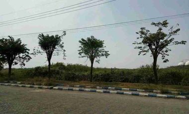 Lahan 73.000 m² Disewakan di Manyar Gresik (Bumi Maspion) - Cocok Gudang & Pool Truk