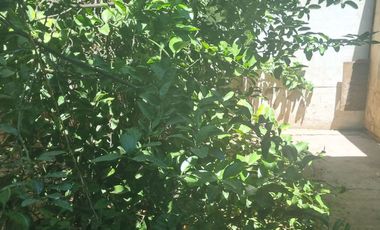 Amplia Casa en Buin Familiar en Barrio Tranquilo 4D+1 B+1E