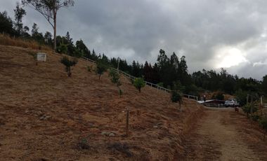 ¡Oportunidad Única en Sector Curapalihue,Camino Concepción - Florida!