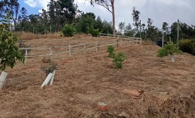 ¡Oportunidad Única en Sector Curapalihue,Camino Concepción - Florida!
