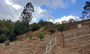 ¡Oportunidad Única en Sector Curapalihue,Camino Concepción - Florida!