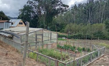 ¡Oportunidad Única en Sector Curapalihue,Camino Concepción - Florida!