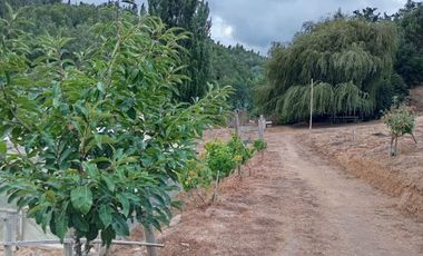 ¡Oportunidad Única en Sector Curapalihue,Camino Concepción - Florida!