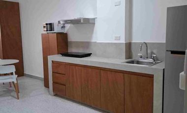 Loft en Renta en el Centro