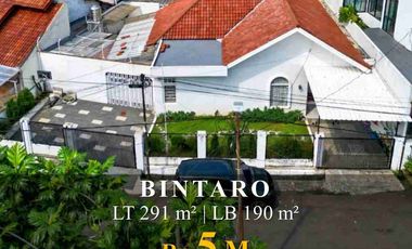 Bintaro Sektor 1 Rumah Siap Huni Depan Taman