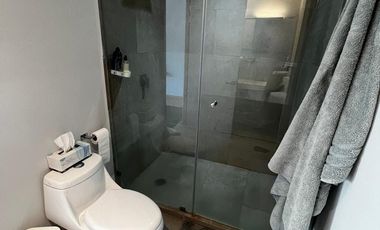 RENTA DEPARTAMENTO AMUEBLO TORRE MIRAVISTA  SAN LUIS  POTOSI
