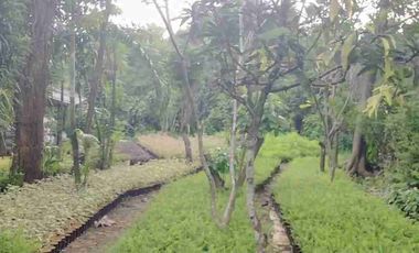 Dijual tanah kavling luas 4100 meter di tajur halang bogor