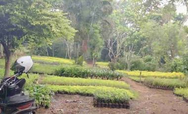 Dijual tanah kavling luas 4100 meter di tajur halang bogor