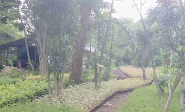 Dijual tanah kavling luas 4100 meter di tajur halang bogor