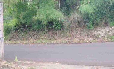 Dijual tanah kavling luas 4100 meter di tajur halang bogor